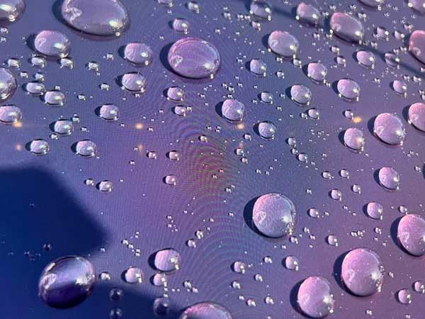 MAXEasy® - Instant Automotive Coating 2.0 Powered by Triphene™ (5-Pack)