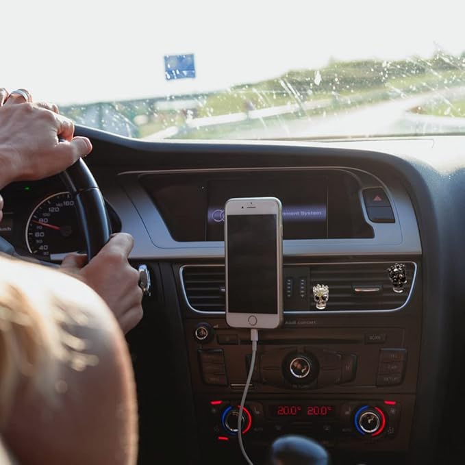 ZOSTLAND Metallic Texture Car Decorative Clip,Auto Air Fresheners Clip, Terror Car Vent Clip,Personalized Automotive Interior Decoration Accessories,Car Decor Gift (2pcs Skull)