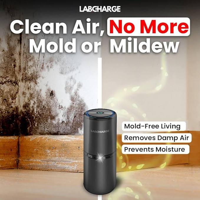 Lab Charge Small Ionic Air Purifier for Home & Bedroom – Silent HEPA Filter – Covers 250 Sq Ft - Free Cleaner for Pets, Hair, Smoke, Dust, Odors & Dander – Compact & Black Design - Pack of 3