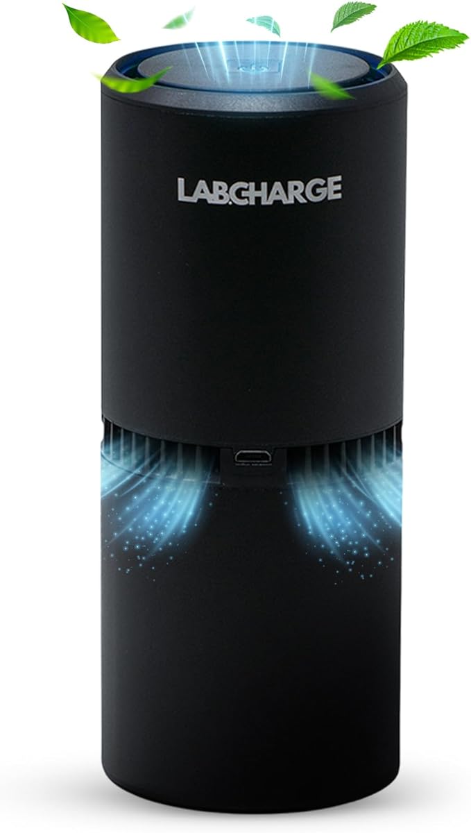 LabCharge Compact Air Purifier - Covers 250 Sq Ft - Ideal for Bedroom or Dorm Room - Silent HEPA Filter Captures Dust and Pollutants - Portable, Mini Air Purifier for Small Spaces