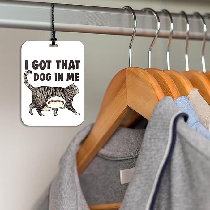 4Pcs Funny Cat Car Air Freshener Hanging Car Accessories Gifts for Women Men Cat Lovers Cute Air Freshener for Interior Car Mirror Home Wardrobe Decor