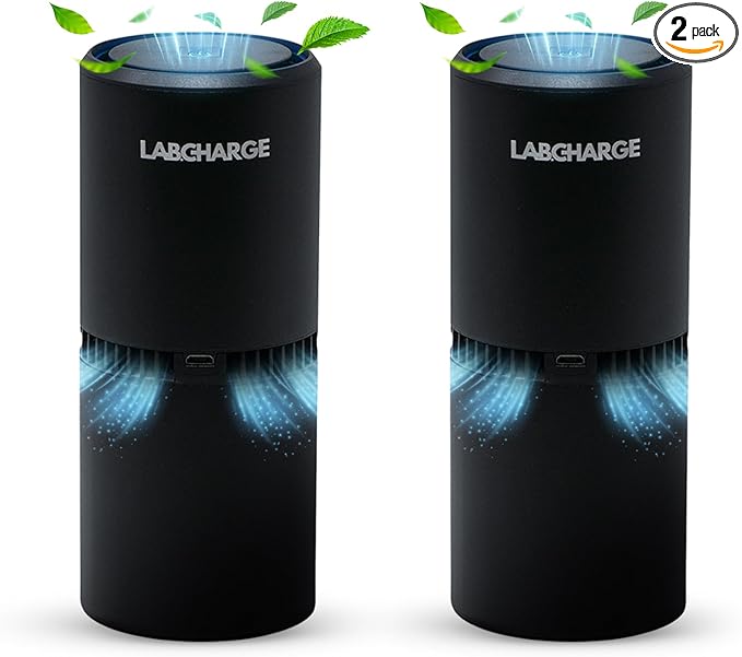 LabCharge Small Ionic Air Purifier for Home & Bedroom – Silent HEPA Filter – Covers 250 Sq Ft - Free Cleaner for Pets, Hair, Smoke, Dust, Odors & Dander – Compact & Black Design - Pack of 2