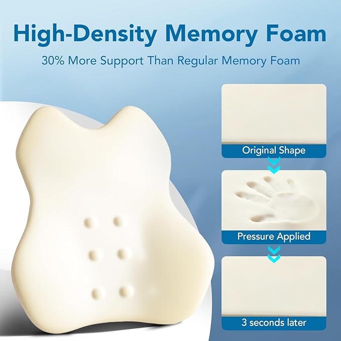 QUTOOL Lumbar Support Pillow for Car, Truck Accessories Travel Essentials, Memory Foam Back Cushion for Driving Seat, Back Pain Relief,Washable Cover, Lower Back Support Fits Most Cars(Black)