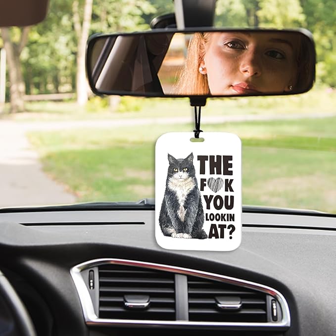 4Pcs Funny Cat Car Air Freshener Hanging Car Accessories Gifts for Women Men Cat Lovers Cute Air Freshener for Interior Car Mirror Home Wardrobe Decor
