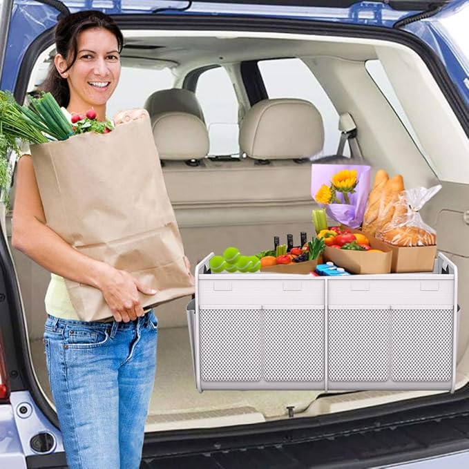 Homeve Car Trunk Organizer, Reinforced Handles, Collapsible Multi-Compartment Car Organizer, Foldable & Waterproof, 600D Oxford Polyester (White, 2 Compart-Small)
