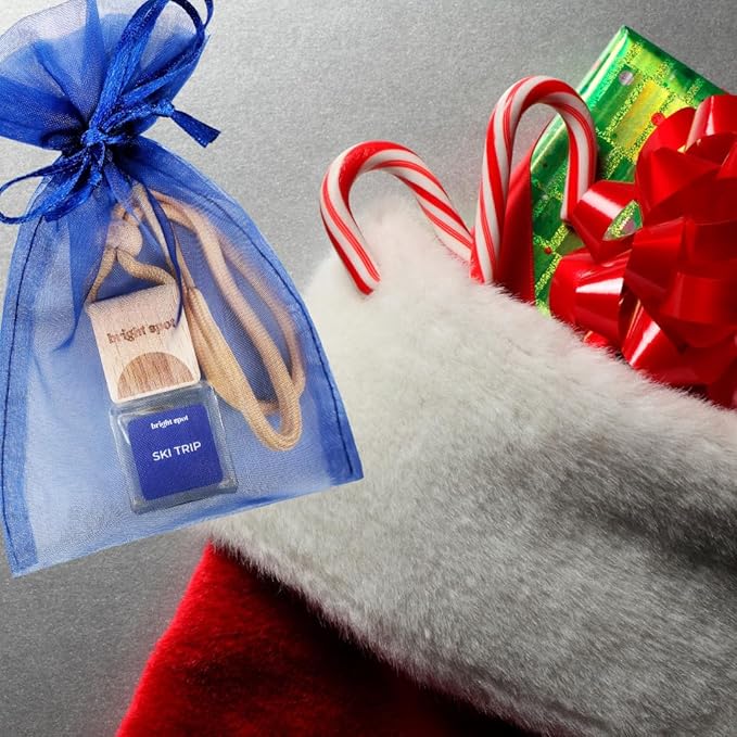 Bright Spot Ski Trip Car Air Freshener - Premium Car Hanging Oil Diffuser, Long-Lasting Fragrance up to 120 days for Auto & Home | Festive & Cozy | Pine, Amber, Musk | Non-Toxic