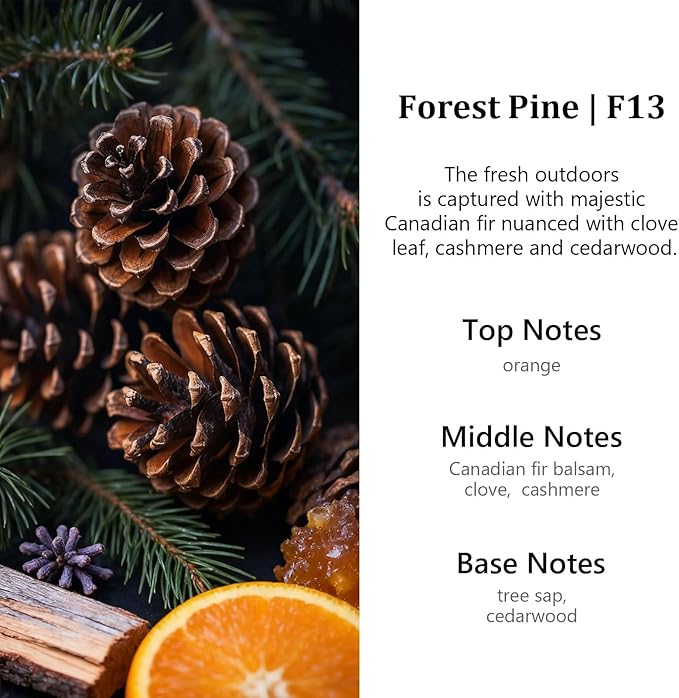 HoogaLife Car Air Freshener Diffuser 2 Pack Hanging Air Freshener Diffuser - Forest Pine Fragrance Oil Air D iffuser for Car, 45+ Days Long Lasting Fragrance Made in USA (F13)