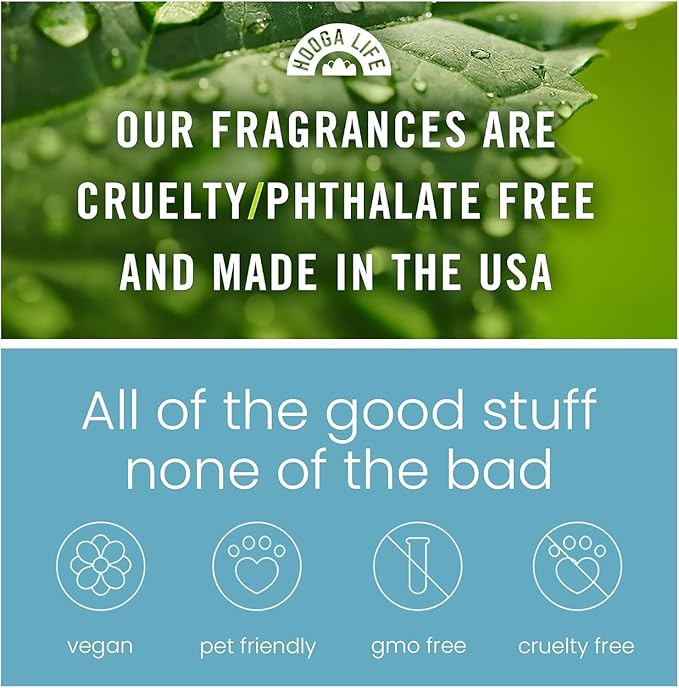 HoogaLife Car Air Freshener Diffuser 2 Pack Hanging Air Freshener Diffuser - Apple Cider Fragrance Oil Air D iffuser for Car, 45+ days Long Lasting Fragrance Made in USA （F11）