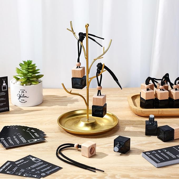 100 Sets Car Diffuser Bottles Empty Bulk Hanging Car Air Freshener Diffuser Bottles Bulk Glass Perfume Holder with Instruction Cards for Essential Oil Fragrance Pendant(Square,Black)