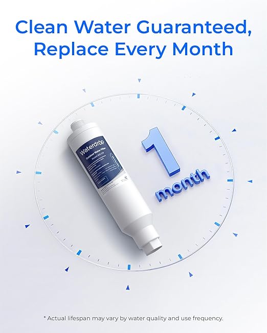 Waterdrop Hard Water Filter for Hose Car Wash, Water Deionizer for Car Washing, Window, Boat, Marine, Motorcycle, Yard Cleaning, Wash Spot Free, 4 Pack with 2 Hose Protector