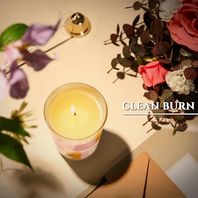 HomeLights Citrus Lavender Scented Candles | 6.7oz Soy Candles Scandinavian Minimalist Design Large Candle Jars | Ideal Candle Gifts for Events, Home Decor Stress, Relief & Relaxation