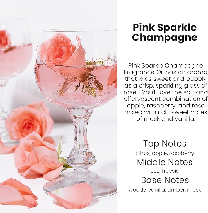 HoogaLife Car Air Freshener Diffuser 2 Pack Hanging Air Freshener Diffuser - Pink Sparkle Champagne Fragrance Oil Air Diffuse r for Car, 45+ Days Long Lasting Fragrance Made in USA (P38)