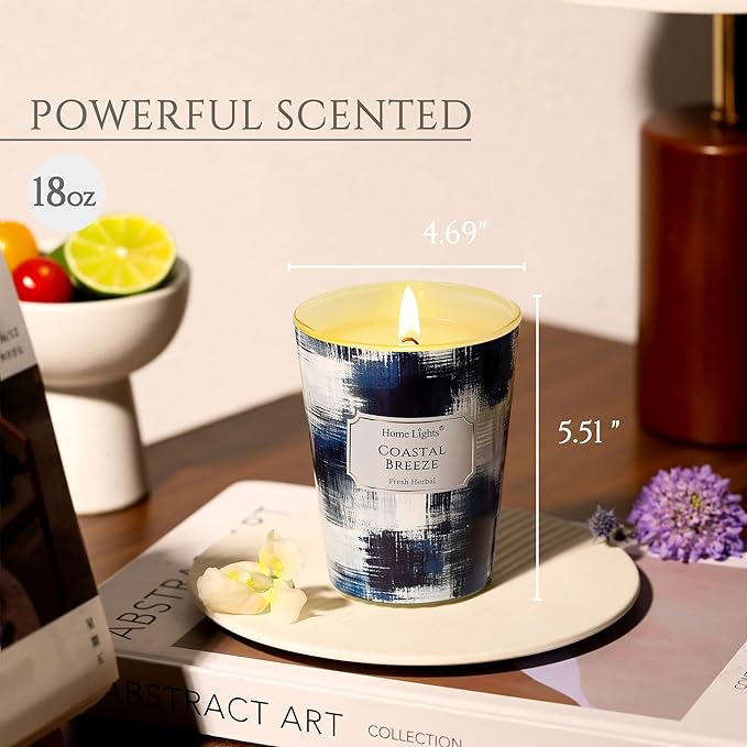 HomeLights Large jar Candle | 1-Wick Long-Lasting Scented Candles, 6.7oz Natural Soy Wax Candle for Home Scented, Scandinavian Minimalist Design Gifts for Women & Men, Coastal Breeze