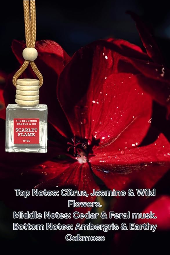 Automobile Diffuser, Long Lasting Car Air Freshener 2 Pack, Hanging Fresh Aroma Diffuser, Natural Essential Oil Fragrance for Removing Odors, Auto Interior Decor, Made in USA | SCARLET FLAME - 10 ML