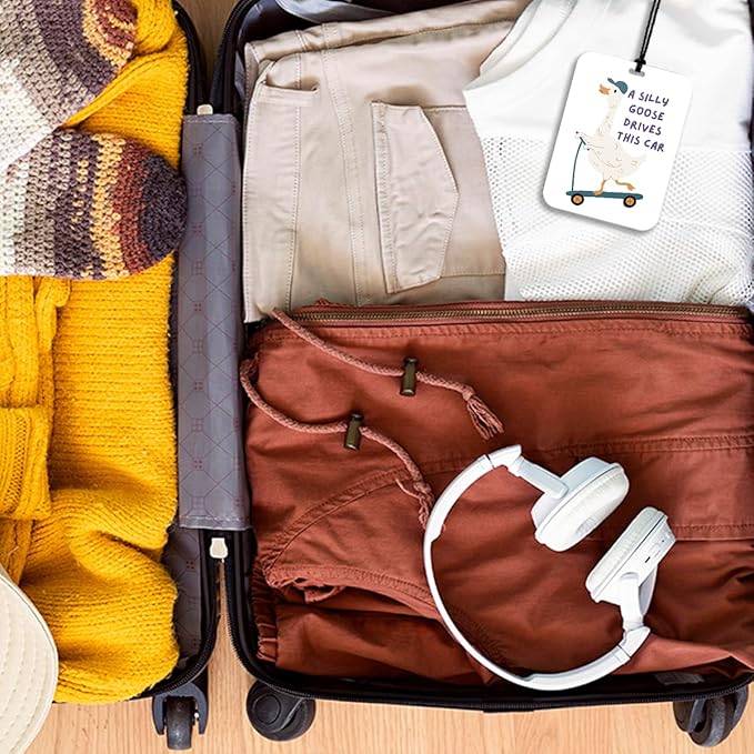 4Pcs Funny Car Air Freshener Hanging Silly Goose Frog Dinosaurs Car Accessories Gifts for Women Men Cute Air Freshener for Interior Car Mirror Home Wardrobe Decor