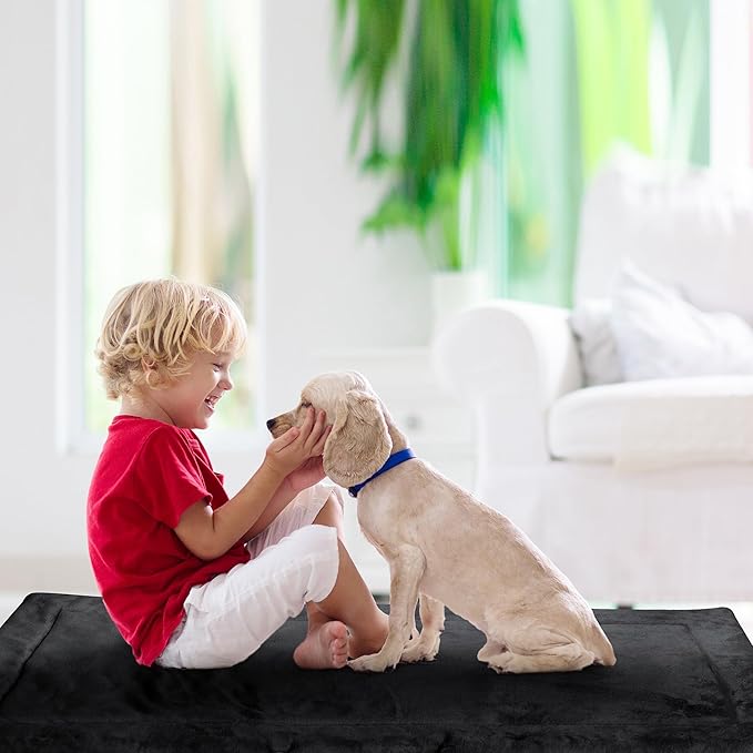 Catalonia Classic Waterproof Dog Mat, Portable Reversible Pet Travel Mat, Pet Cushion Pad with Handle for Small Medium Dogs Cats, Indoor or Outdoor, 50x27.5 inch, Black