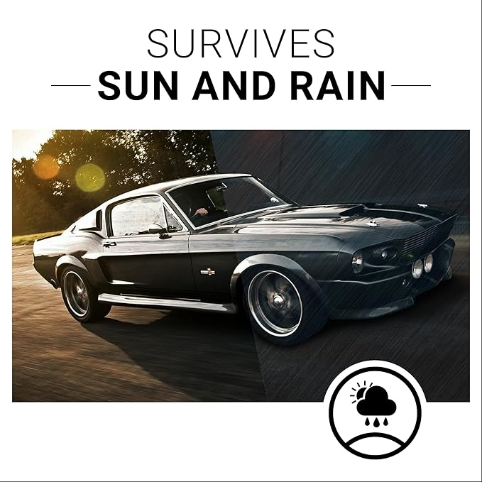 CAR GUYS Plastic Restorer | Bring Plastic, Rubber, and Vinyl Back to Life! | User Friendly Trim Restorer | Safe Auto Detailing Supplies | 8 Oz Kit with Foam Applicator