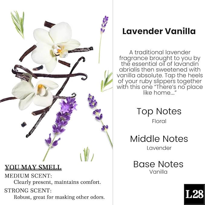 HoogaLife Car Air Freshener Diffuser 2 Pack Hanging Air Freshener Diffuser -Lavender Vanilla Fragrance Oil Air D iffuser for Car, 45+ days Long Lasting Fragrance Made in USA C ar Air Fresheners (L28)