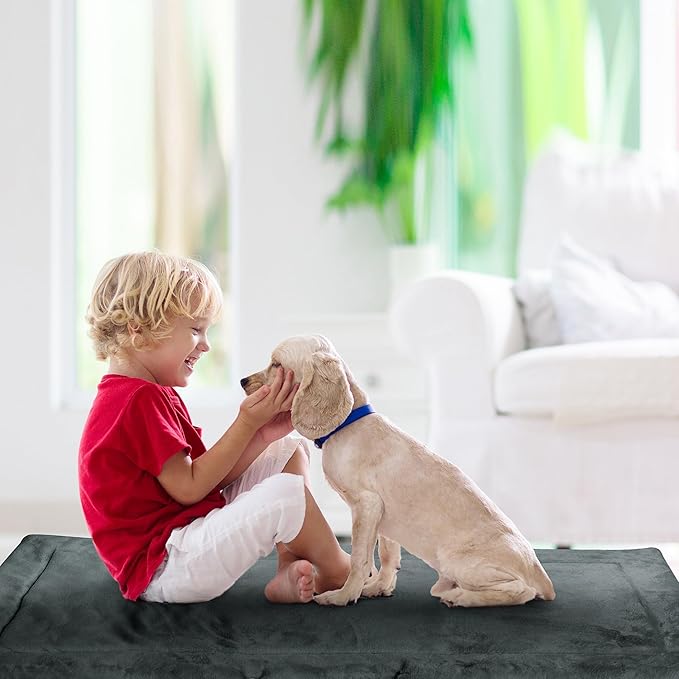 Catalonia Classic Waterproof Dog Mat, Portable Reversible Pet Travel Mat, Pet Cushion Pad with Handle for Small Medium Dogs Cats, Indoor or Outdoor, 50x27.5 inch, Gray