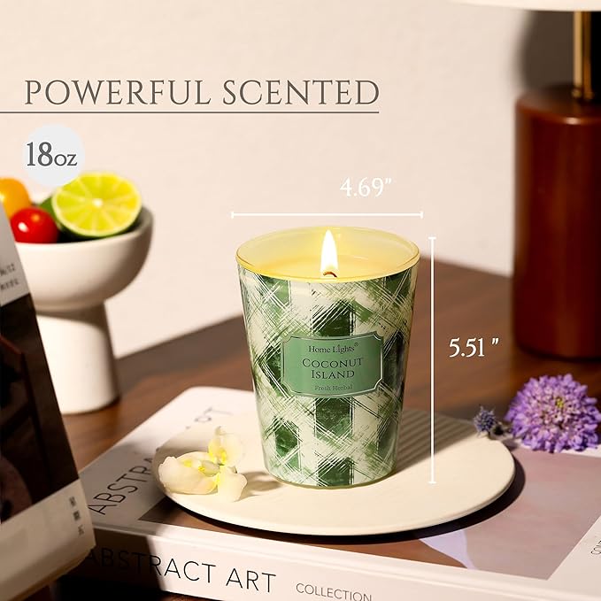 HomeLights 1-Wick Candles for Home Scented - 6.7oz Soy Wax Blend Candle Long-Lasting Fragrance, Scandinavian Minimalist Design Home Decor and Housewarming Gifts, Coconut Island