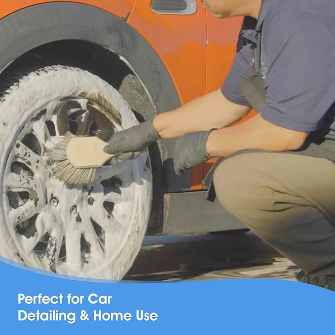 Nanoskin Professional 8.5-Inch Gentle Surface Cleaning Brush with Durable Salt & Pepper Polystyrene Bristles, Compact Short Handle, Resistant to Acids/Detergents, Perfect for Car Detailing & Home Use