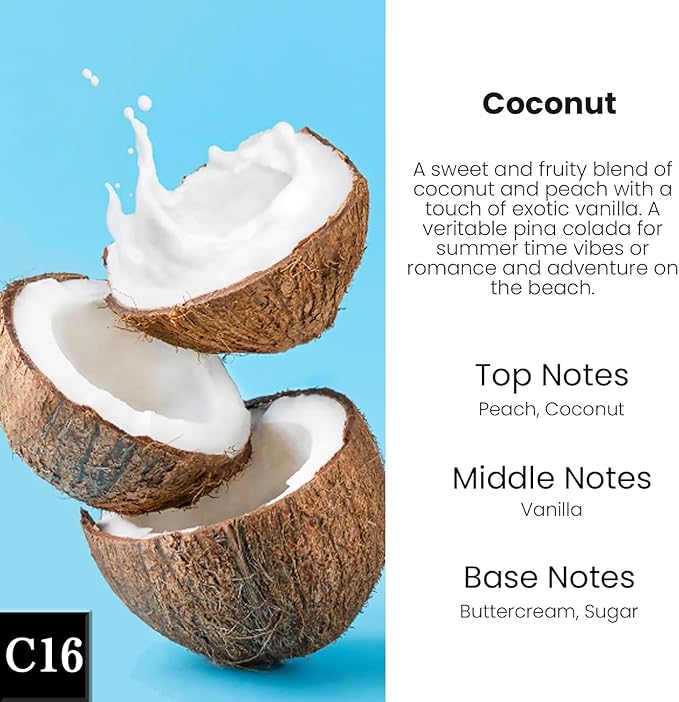 HoogaLife Car Air Freshener Diffuser 2 Pack Hanging Air Freshener Diffuser - Coconut Fragrance Oil Air D iffuser for Car, 45+ Days Long Lasting Fragrance Made in USA (C16)