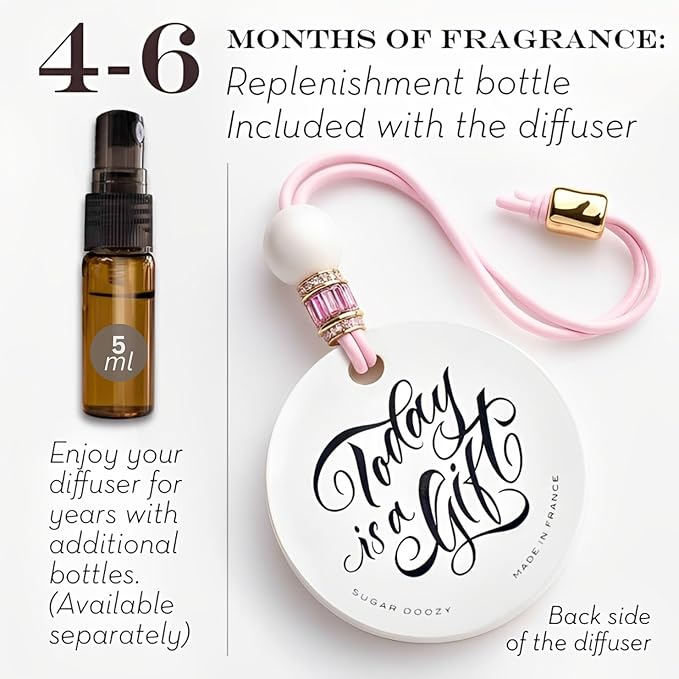 Luxury Car Air Freshener for Women - Refillable & Portable Essential Oil Fragrance Diffuser - Cute Car Accessories & Interior Decor - Mirror Hanging or Vent Clips - Pink Heart Charm, Rose Scent