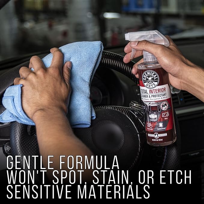 Chemical Guys SPI22516 Total Interior Cleaner & Protectant (Safe on Dash, Leather, Vinyl, Plastics, Trim, Glass, Fabric & More), 16 Fl Oz (Pack of 2) (Black Cherry Scent)