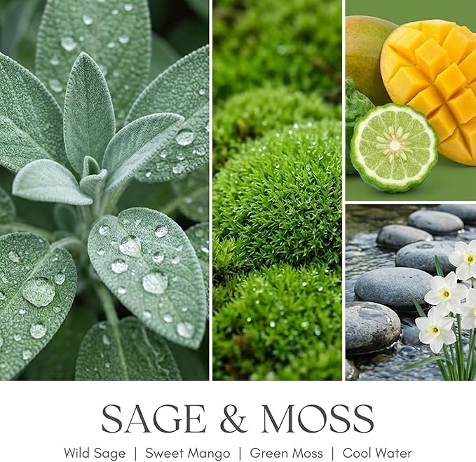 HomeLights Scented Candles for Women & Men, 6.7oz Candle Jars Aromatherapy Single Wick Candle, Ideal for Scandinavian Minimalist Design Home Decor and Gifts, Sage & Moss