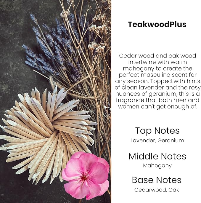 HoogaLife Car Air Freshener Diffuser 2 Pack Hanging Mahogany Teakwood Car Air Freshener for Women 45+ Days Long Lasting Fragrance Made in USA