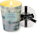 HomeLights Soy Wax Candles for Home Scented, 1-Wick Candles in Lavender Eucalyptus Scented, Aromatherapy Candles Gift for Parties, Relaxing, Scandinavian Minimalist Design, 6.7oz