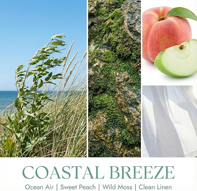 HomeLights Large jar Candle | 1-Wick Long-Lasting Scented Candles, 6.7oz Natural Soy Wax Candle for Home Scented, Scandinavian Minimalist Design Gifts for Women & Men, Coastal Breeze