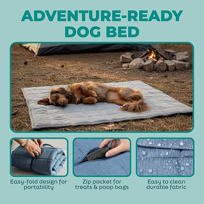 KindTail Nomad Nap Mat - Travel Dog Bed - Machine Washable, Water-Resistant Dog Mat for Pets up to 50 lbs - Lightweight, Portable Pet Bed with Carry Handle - Folds to 14 x 9 x 5 (1.5 lbs, Blue)