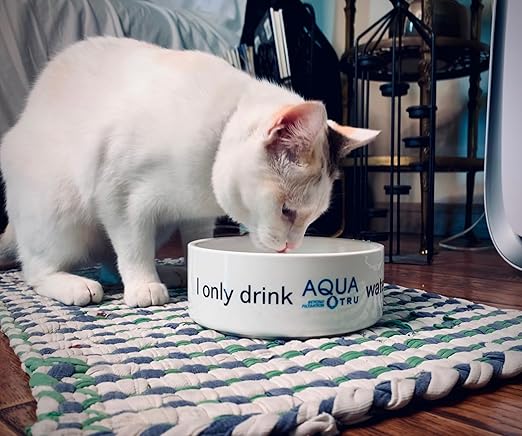 AquaTru Carafe Smart Countertop Water Purifier | App-Connected 4-Stage Reverse Osmosis System with Glass Carafe Removes Forever Chemicals, Lead & Fluoride | Track Filter Life | No Plumbing