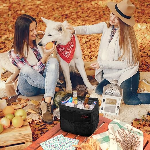 Creathing Car Trash Can Foldable, Waterproof | Organizer Bag or Garbage Can for Console/Seat (Medium, Black), 2 Gallons