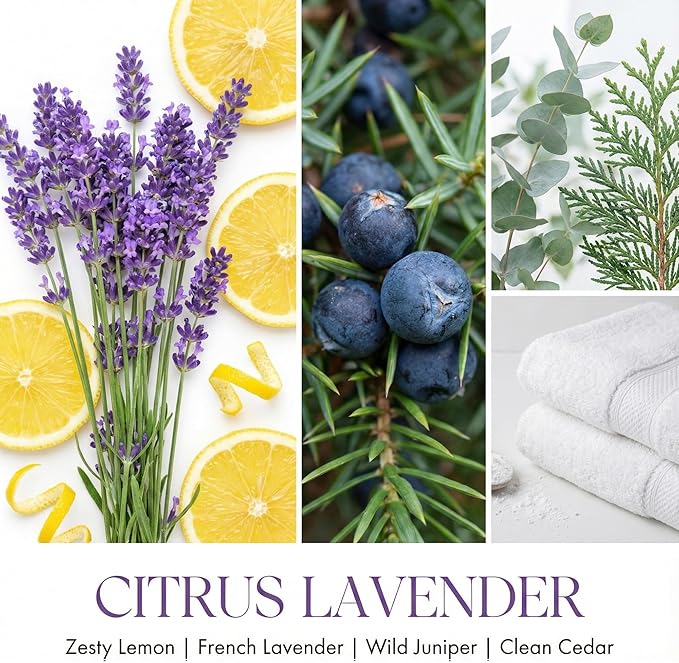 HomeLights Citrus Lavender Scented Candles | 6.7oz Soy Candles Scandinavian Minimalist Design Large Candle Jars | Ideal Candle Gifts for Events, Home Decor Stress, Relief & Relaxation