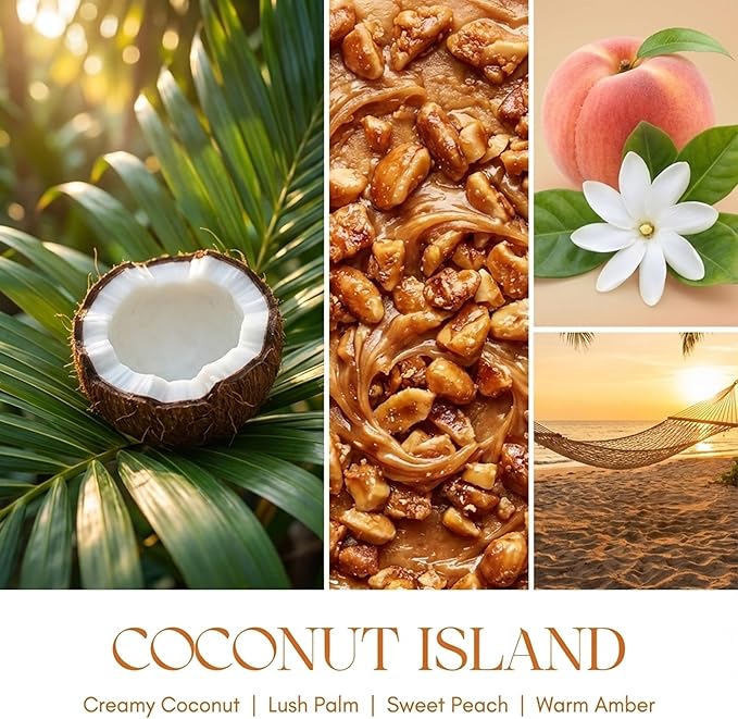 HomeLights 1-Wick Candles for Home Scented - 6.7oz Soy Wax Blend Candle Long-Lasting Fragrance, Scandinavian Minimalist Design Home Decor and Housewarming Gifts, Coconut Island