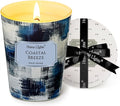 HomeLights Large jar Candle | 1-Wick Long-Lasting Scented Candles, 6.7oz Natural Soy Wax Candle for Home Scented, Scandinavian Minimalist Design Gifts for Women & Men, Coastal Breeze