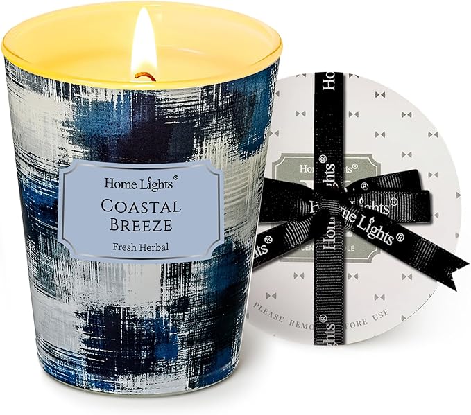 HomeLights Large jar Candle | 1-Wick Long-Lasting Scented Candles, 6.7oz Natural Soy Wax Candle for Home Scented, Scandinavian Minimalist Design Gifts for Women & Men, Coastal Breeze