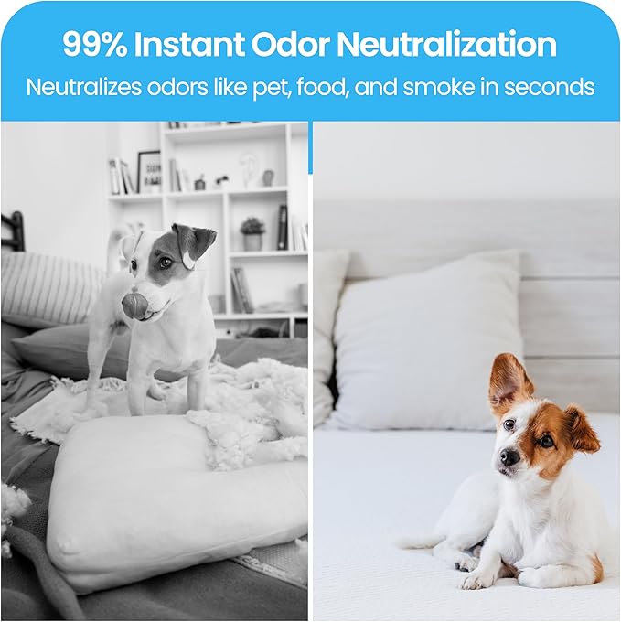 LAVONS Fabric Freshener Spray Kids& Pet Safe, Fabric Refresher Spray for Clothes& Furniture, Smoke Odor Eliminator for Houses, Offices, Car& Hair, Shoe Deodorizer from Japan 12.5 Fl Oz SHINY MOON