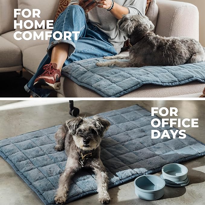 KindTail Nomad Nap Mat - Travel Dog Bed - Machine Washable, Water-Resistant Dog Mat for Pets up to 50 lbs - Lightweight, Portable Pet Bed with Carry Handle - Folds to 14 x 9 x 5 (1.5 lbs, Light Grey)