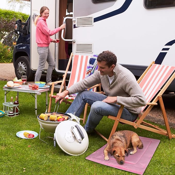 Catalonia Classic Waterproof Dog Mat, Portable Reversible Pet Travel Mat, Pet Cushion Pad with Handle for Small Medium Dogs Cats, Indoor or Outdoor, 80 x 60 cm, Pink